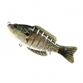 Green Bass Green Bass