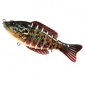 Pumpkinseed Pumpkinseed
