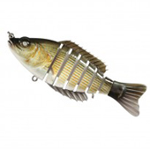 Walleye Walleye