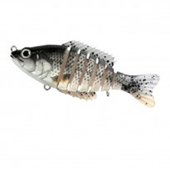 White Crappie White Crappie