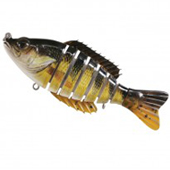 Yellow Perch Yellow Perch